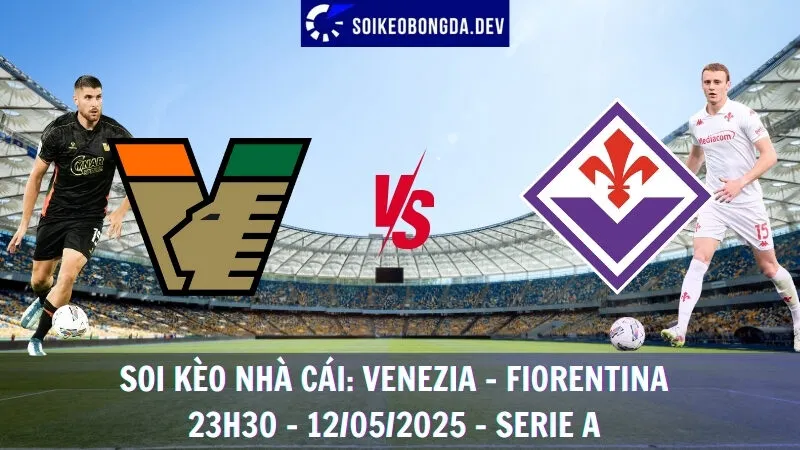 Giải Mã Kèo Nhà Cái Venezia vs Fiorentina - 12/05/2025 - Serie A